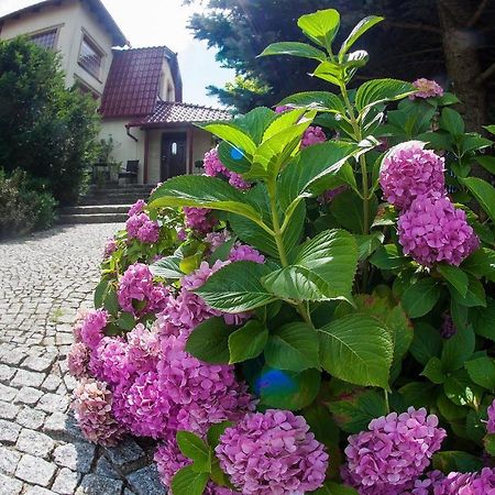 Villa Jasmin Жельона Гора Екстериор снимка