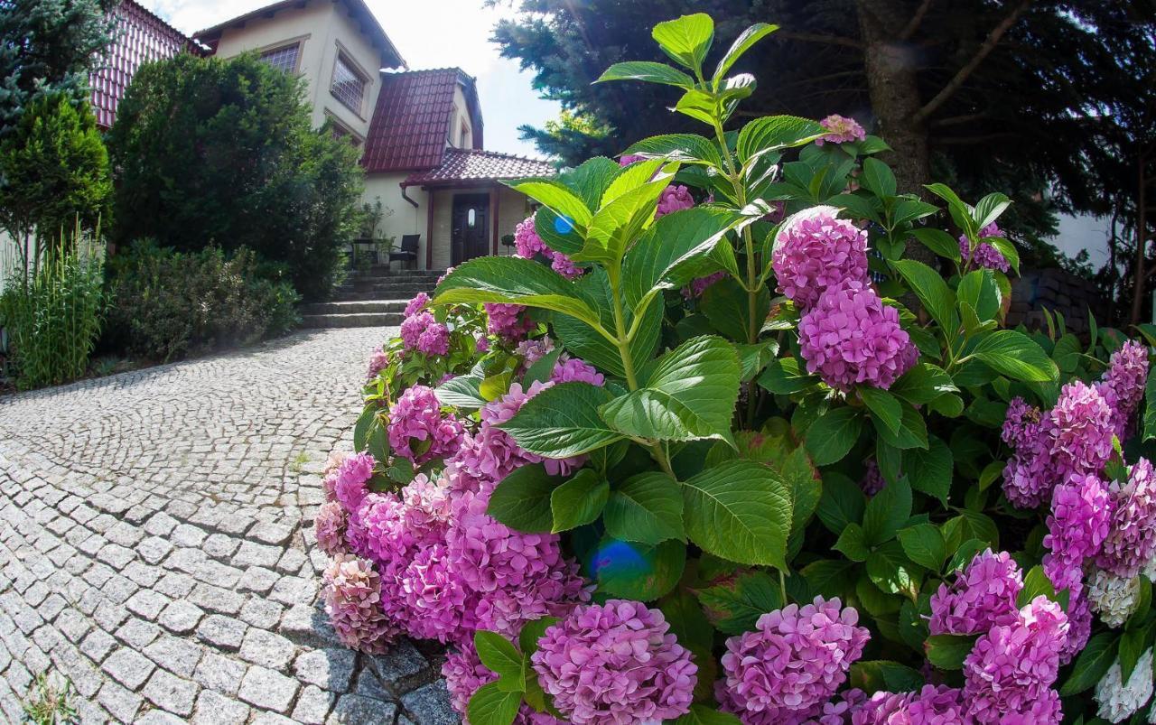 Villa Jasmin Жельона Гора Екстериор снимка
